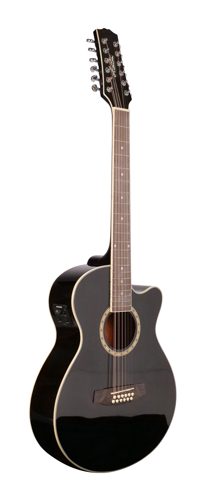 ashton 12 string guitar