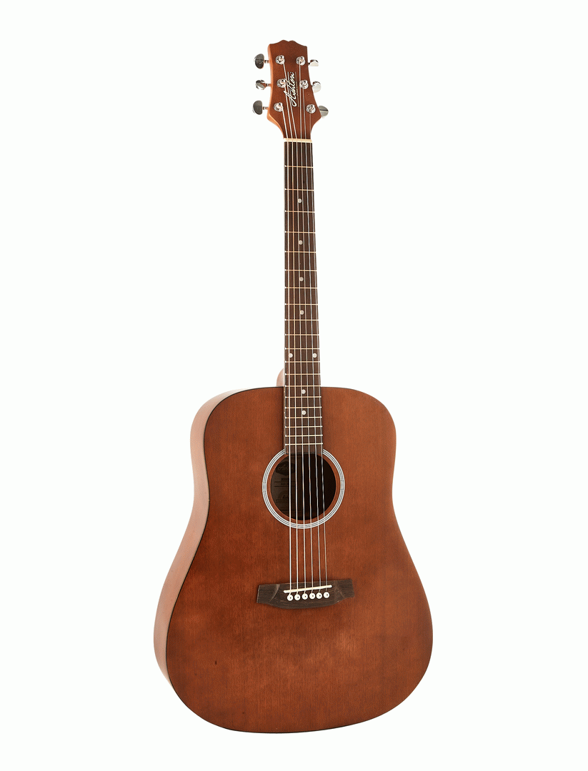 Ashton D20 MS Acoustic Guitar