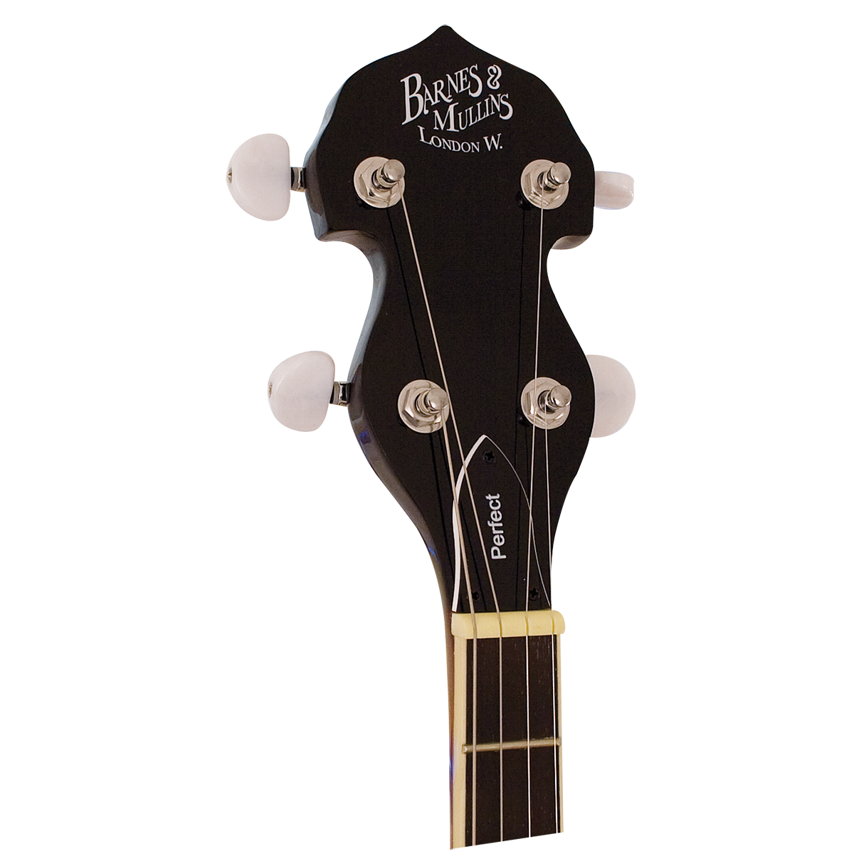 Barnes & Mullins BJ400E Rathbone 5 String Electric Banjo