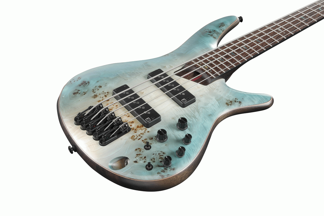 Ibanez sr1605b deals