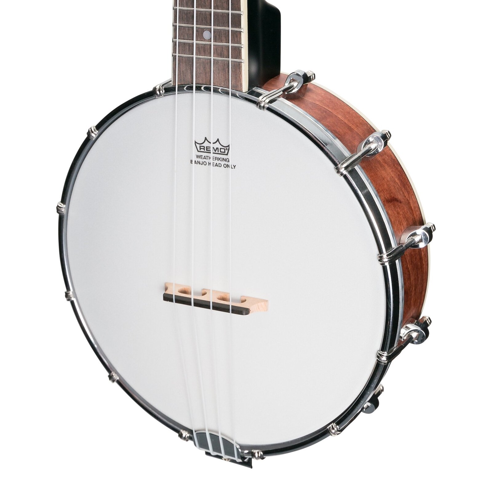 Banjolele store for dummies