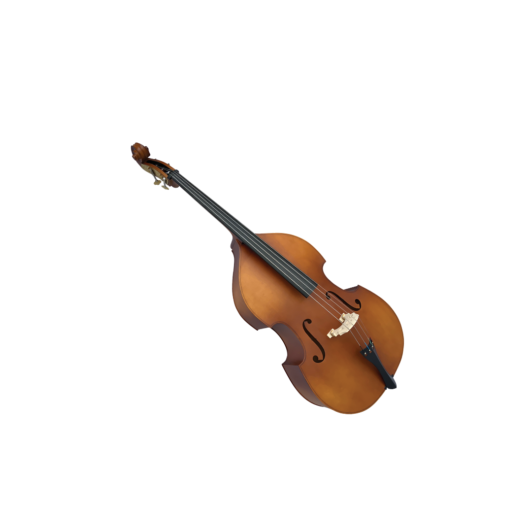 Orchestra