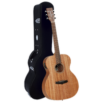 Tanglewood TW2E Winterleaf Orchestra with Case