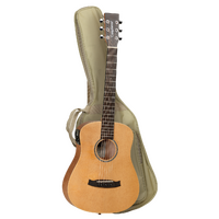 Tanglewood TW2TSE Winterleaf Traveller Spruce w/ PickUp & Bag