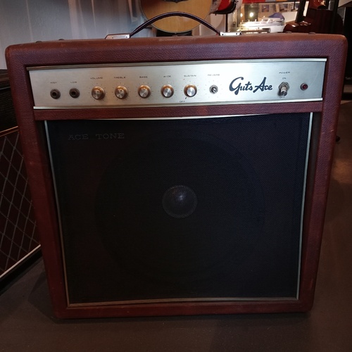 Ace Tone Guts Ace SA-45 Guitar Amplifier (Used)
