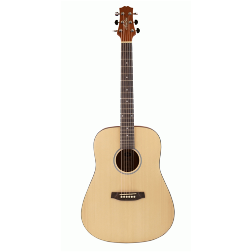 Ashton D20S NTM Solid Top Acoustic Guitar 