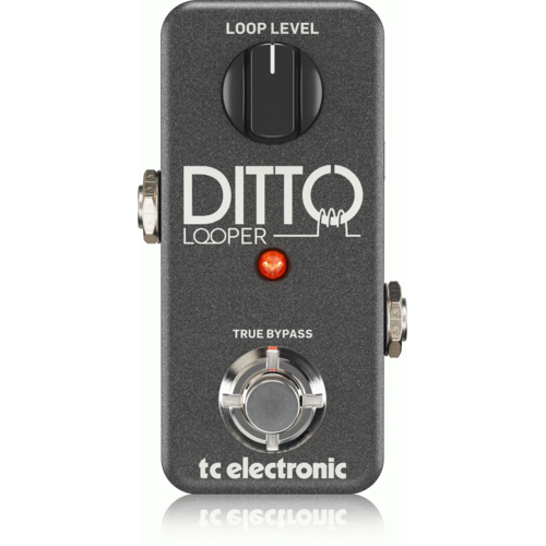 Tc Electronic Ditto Looper