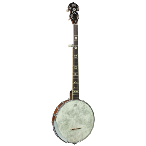 Barnes & Mullins BJ350G 'Albert' Open Back Banjo