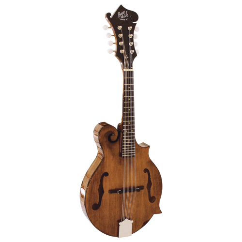 Barnes & Mullins BM650 Salvino Mandolin