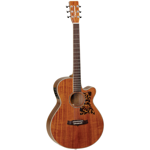 Tanglewood 47ASE Sundance Performance Pro Super Folk with ABS Case